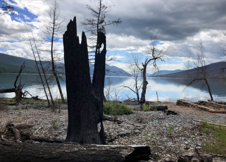 photo of burnt out trees, denuded, by a lake shore, mountains behind, cloudy sky with blue patches, a shimmer on the lake. A sense of an abandoned site. 