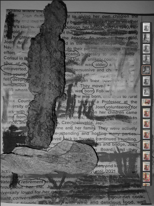 A redaction-erasure black and white from a newspaper obituary of a woman immigrant. On top of the text is a kneeling woman on a rock (made from tree bark). Scratches and drawings over the text. On the right a film strip of the same image in miniature in different colors. Text:
"became    older
introverted deeply born
volunteered from
her family
 continued travelling 
until
retirement 