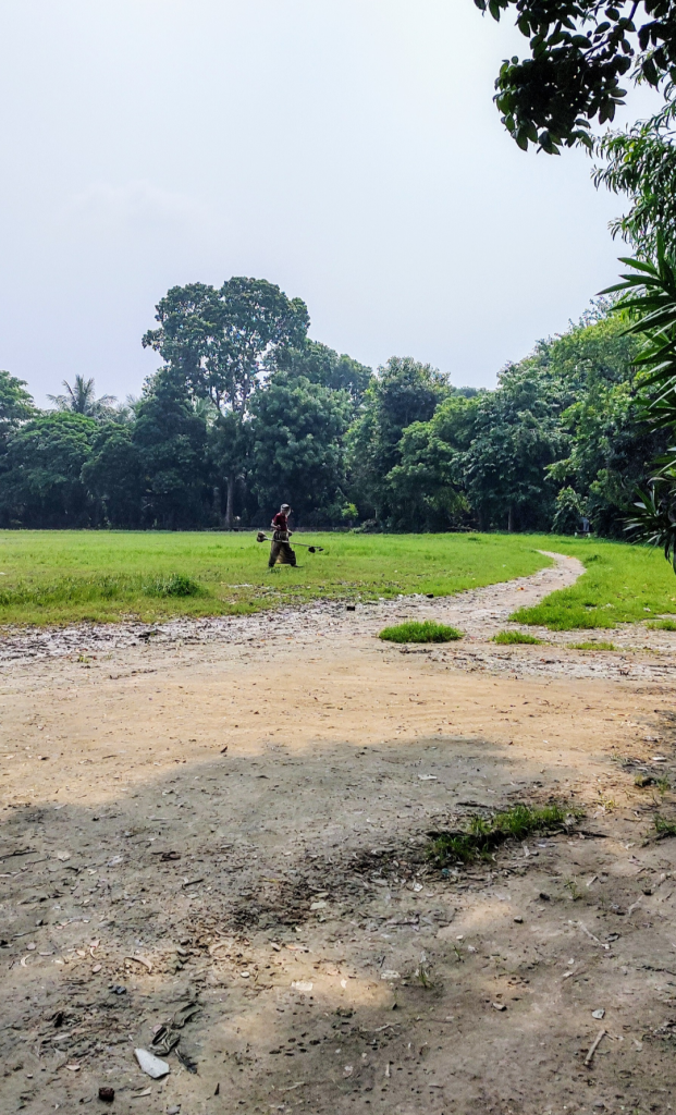 Someone working at a distance in a park, green grass around, a path, trees behind, lush and close, in the foreground dry dirt, as if from a drought.